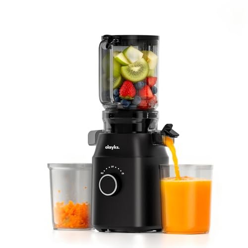 Juicer Machines, Cold Press Juicer with 4